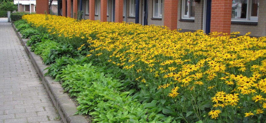 Zorgeloos groen 3.1