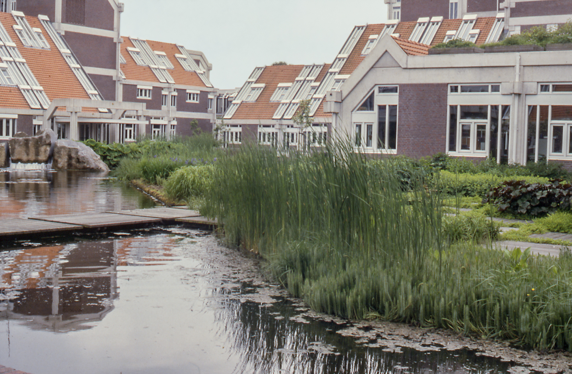 soft bank central pond