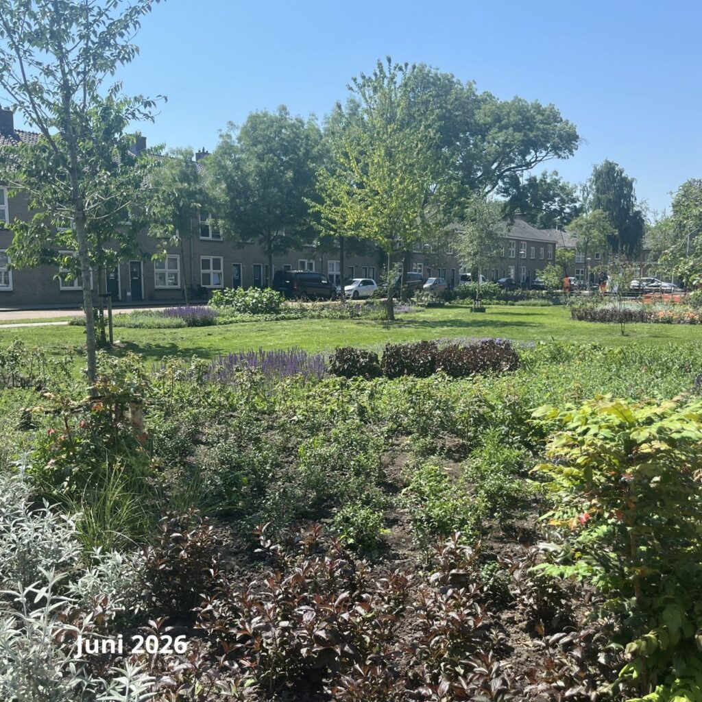 Complextuin juni 2026