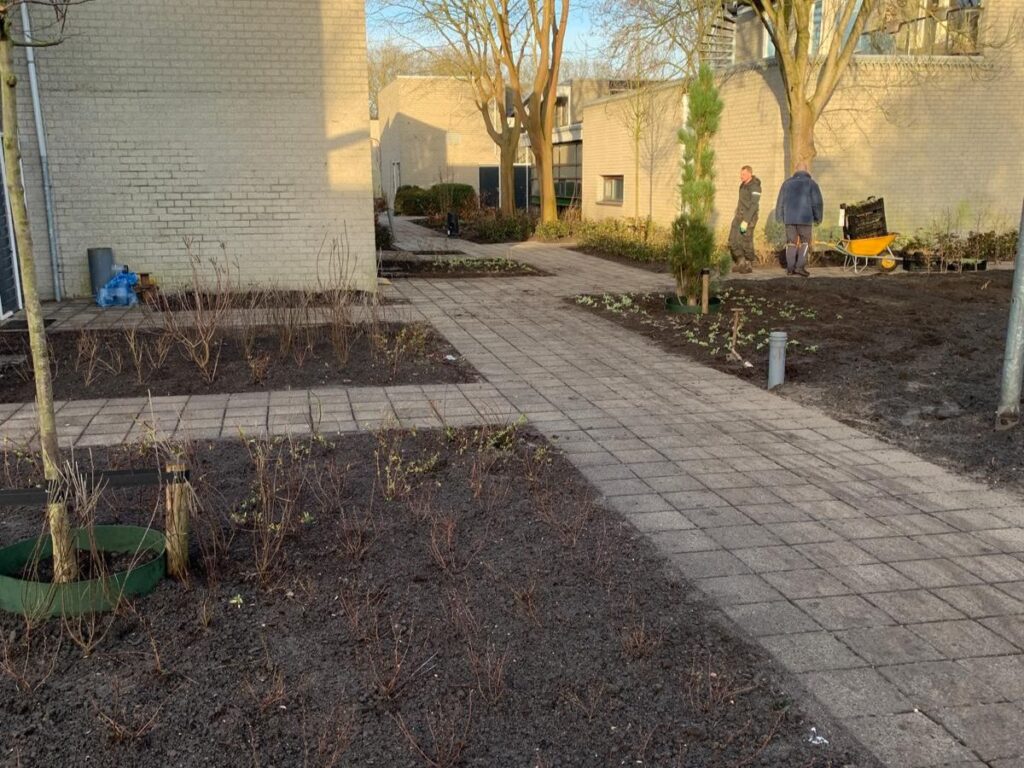 Complextuin Haarlem