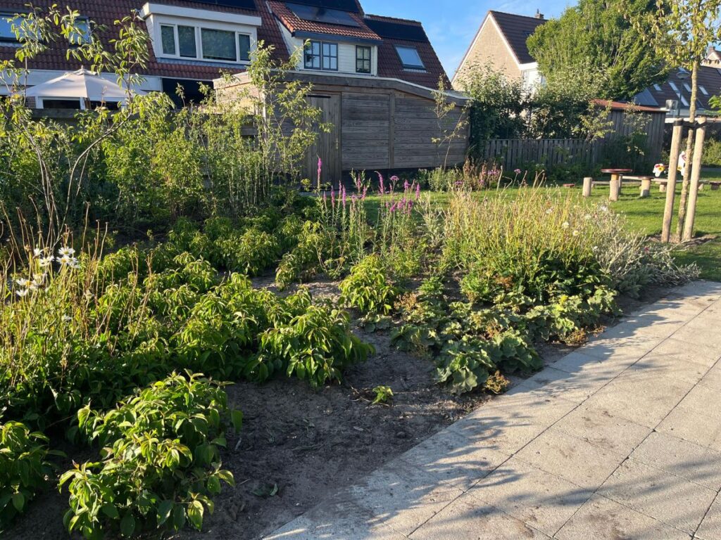 Groene speelplek egmond binnen planten