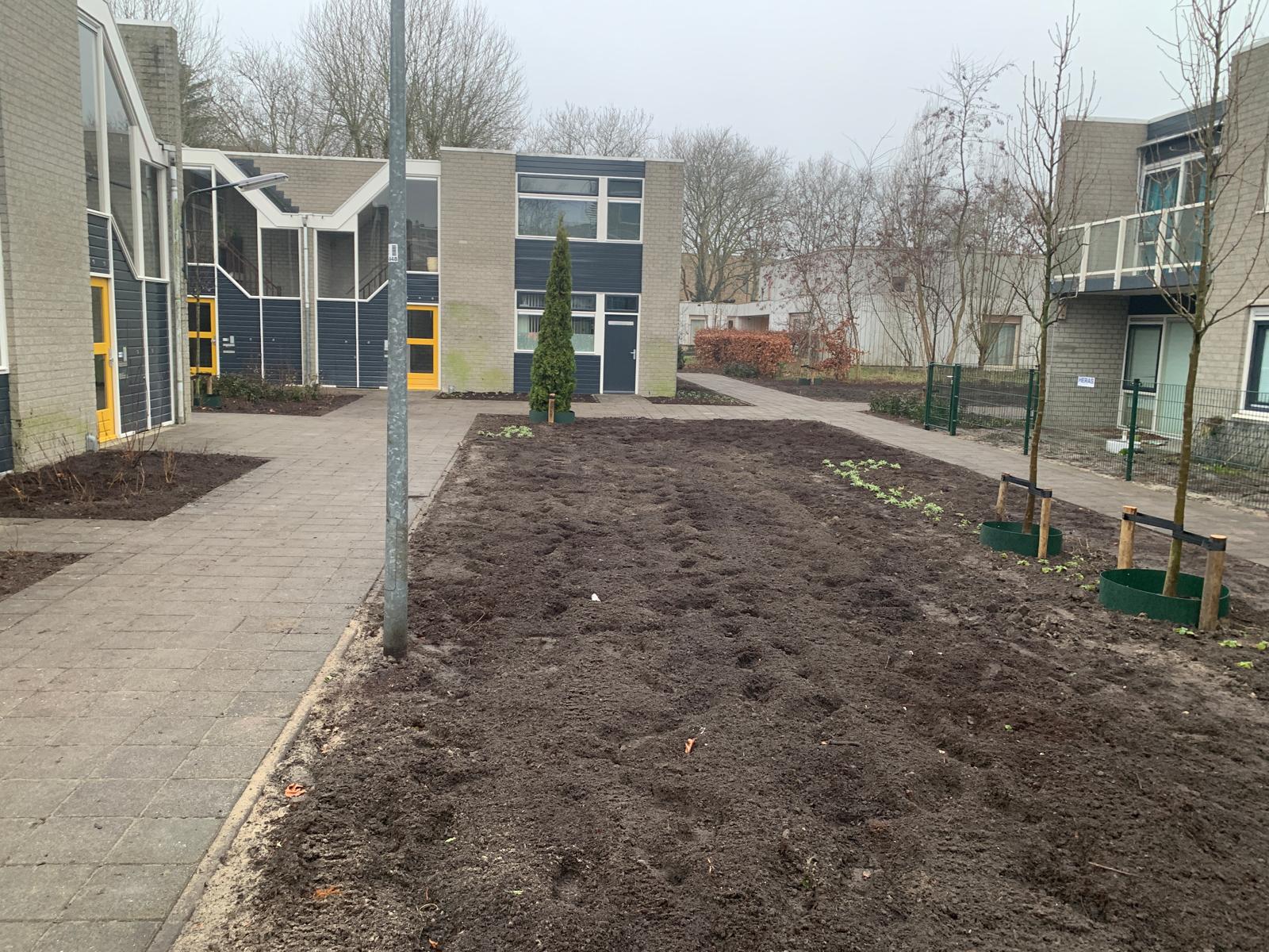 Complextuin Haarlem 3