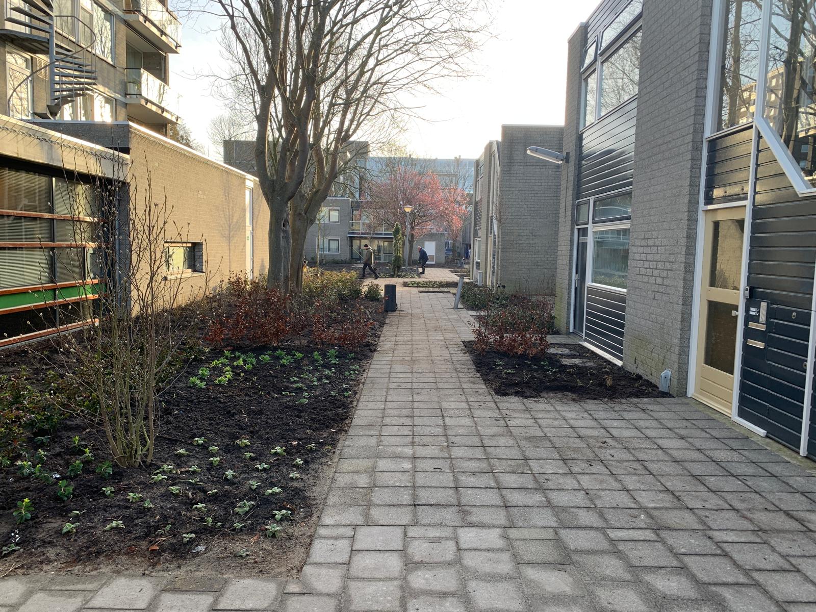 Complextuin Haarlem 2