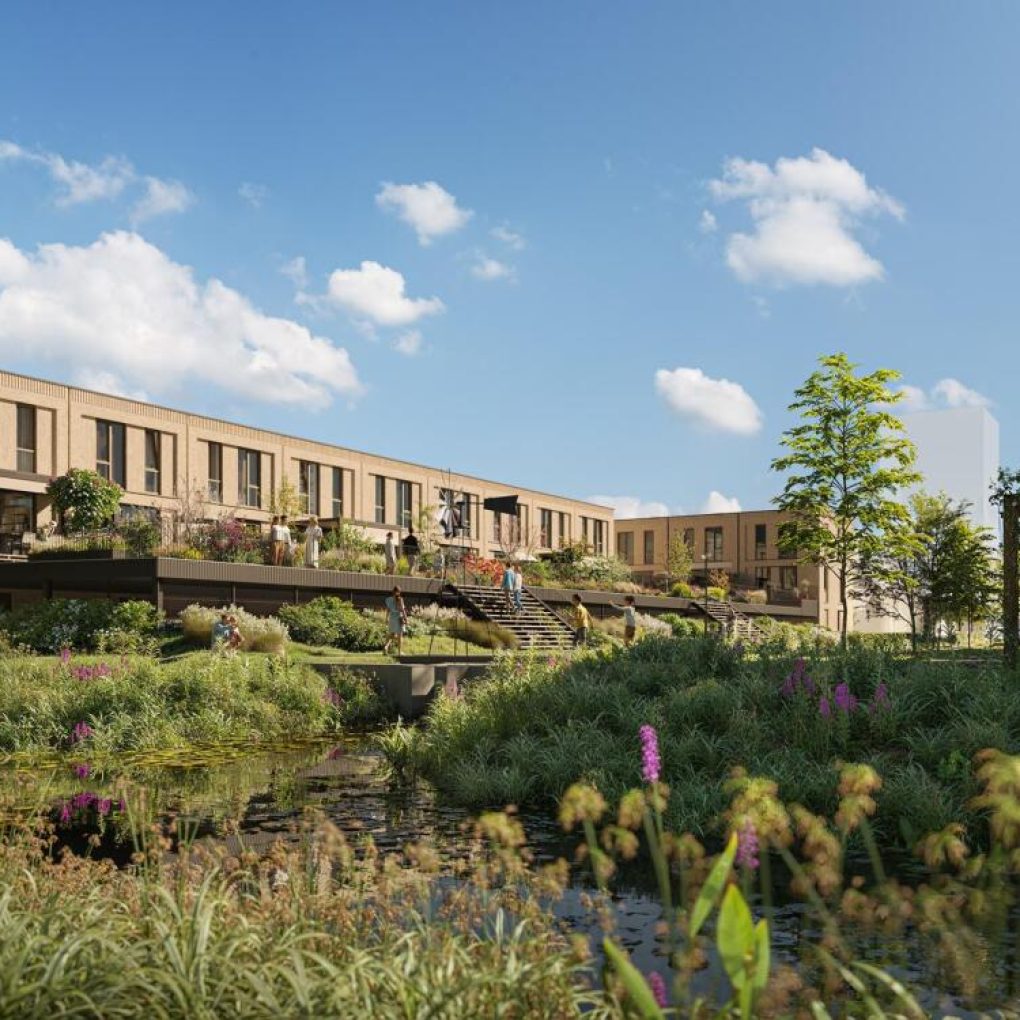 224978880_1744456209