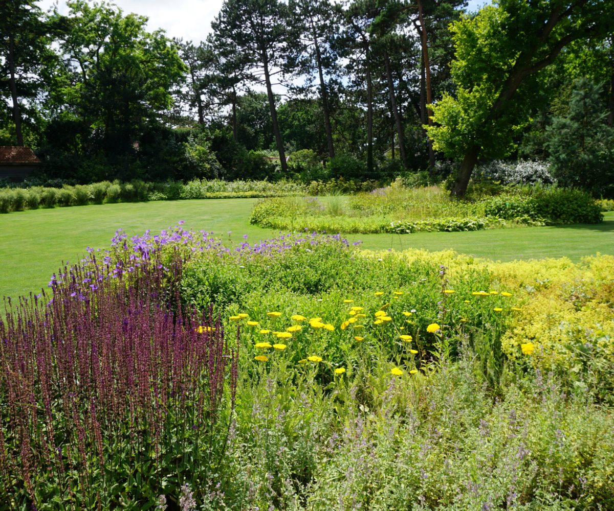 Create a garden design