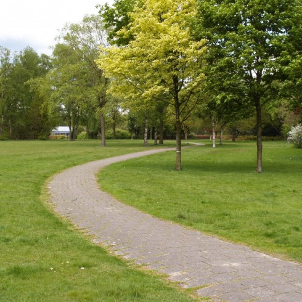 De ploeg 2