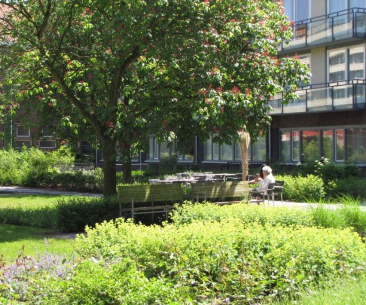 Garden design for a healthcare institution