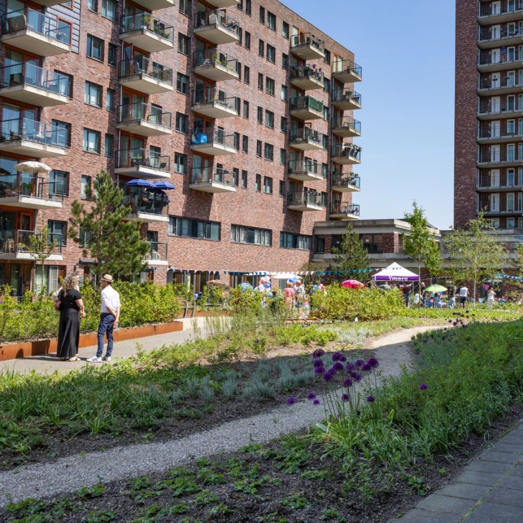 Goulmy design & fotografie (7)