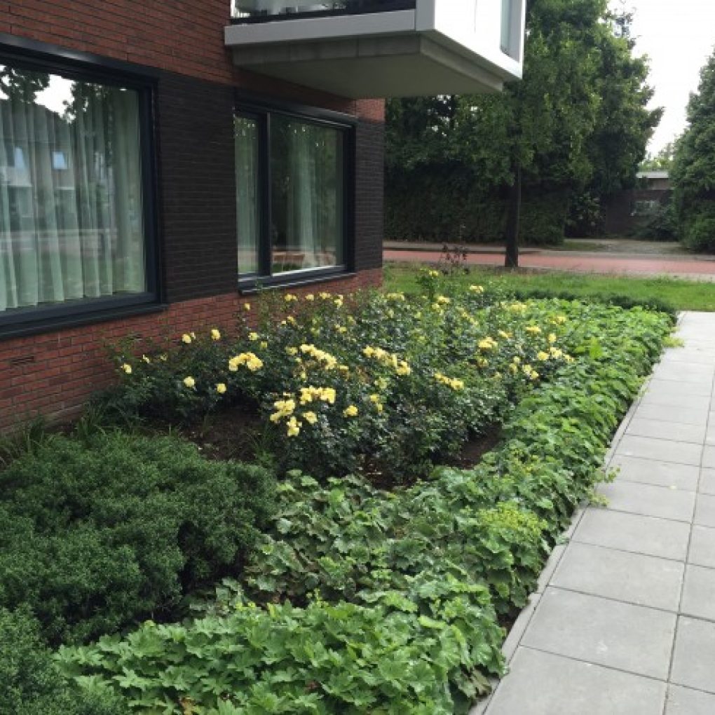 Bellinckborg Hengelo