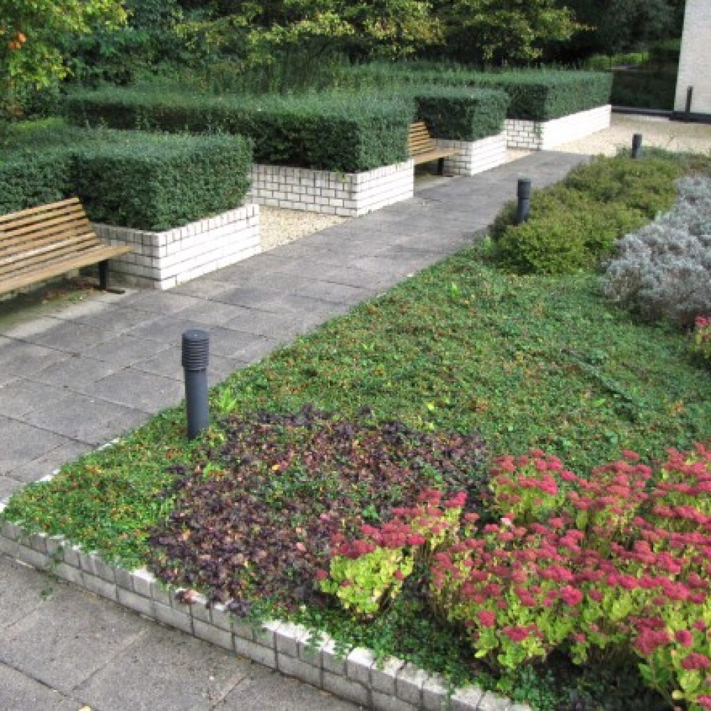 Park de Dennen Enschede