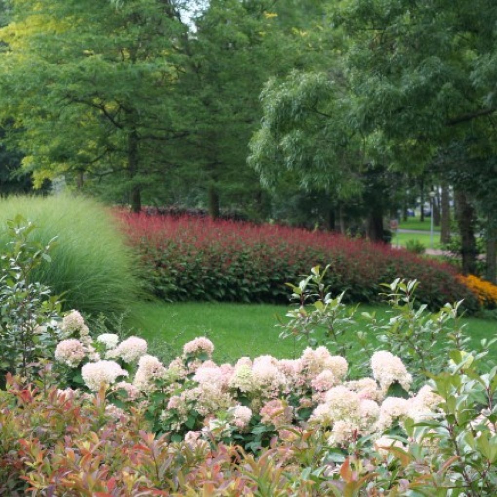 Park de Gagel Utrecht