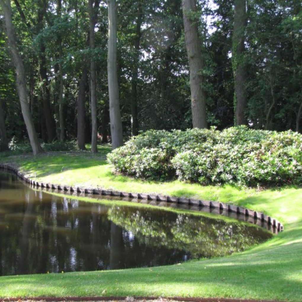 Vredenoord den haag 3