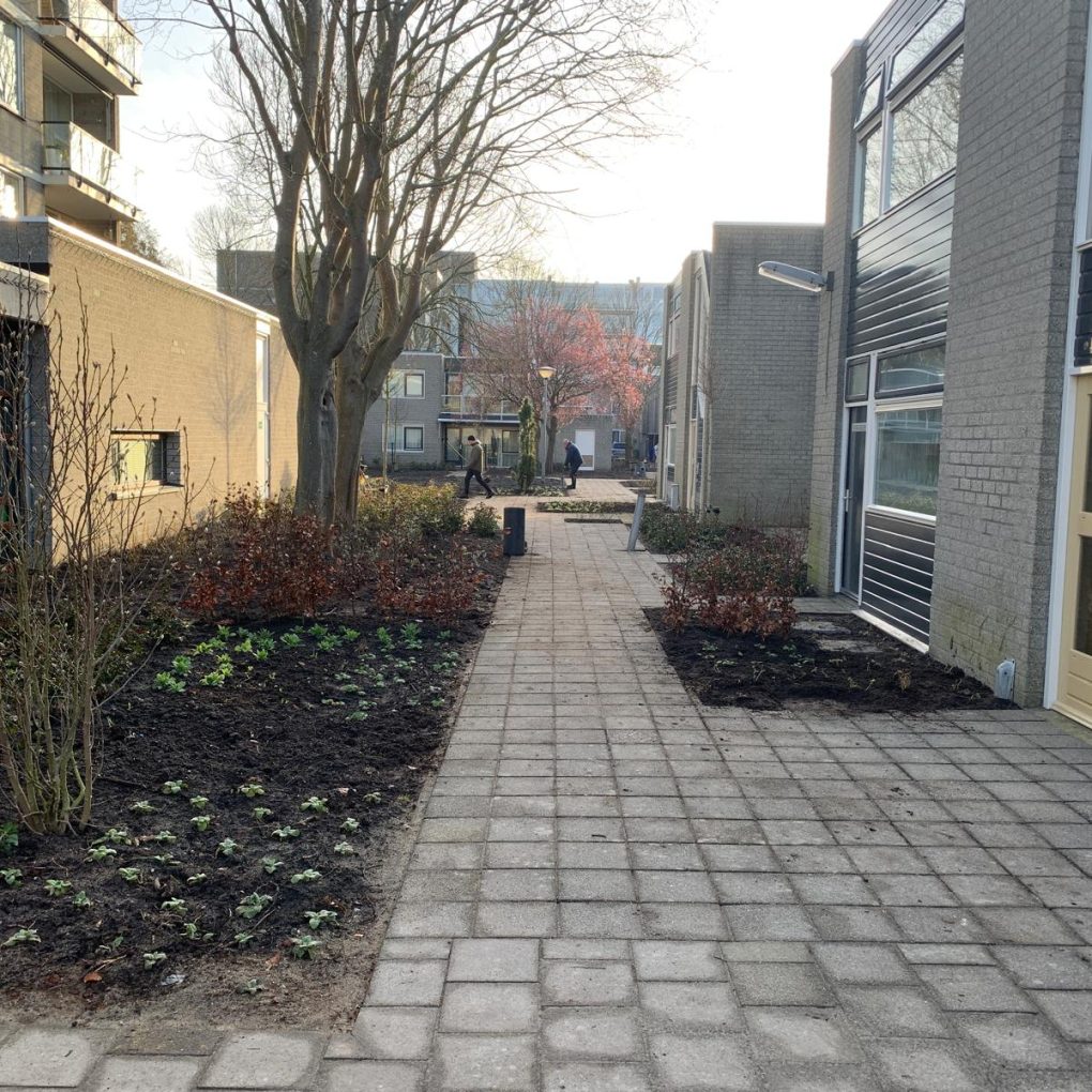 Complextuin Haarlem 2